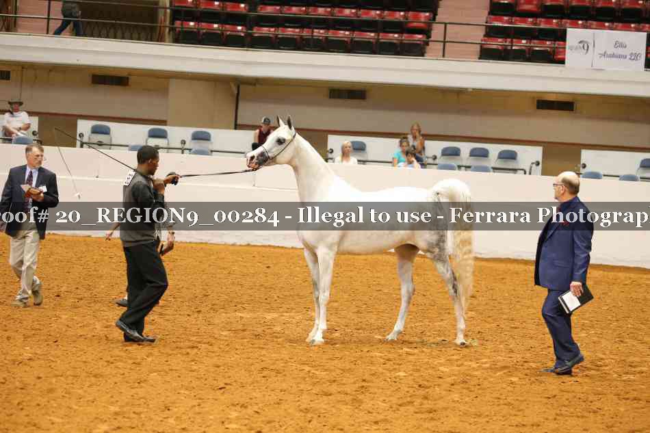 Proof Number 20_REGION9_00284