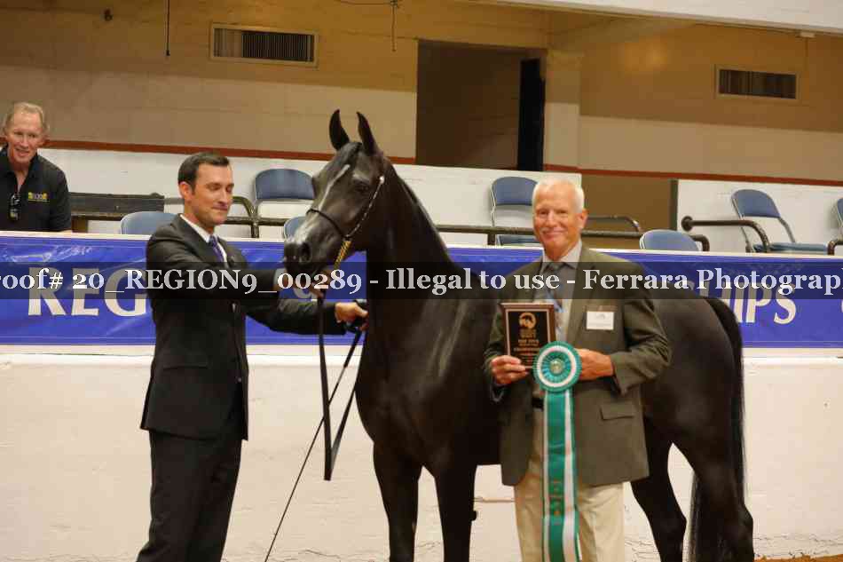 Proof Number 20_REGION9_00289