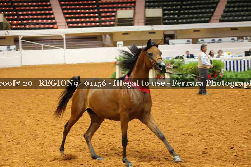 Proof Number 20_REGION9_01156