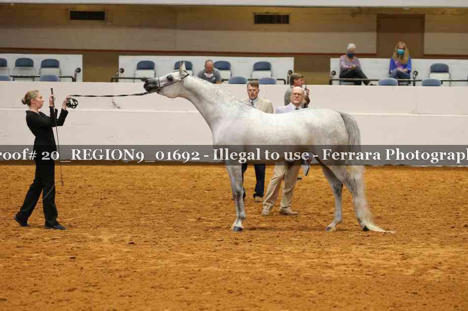 Proof Number 20_REGION9_01692
