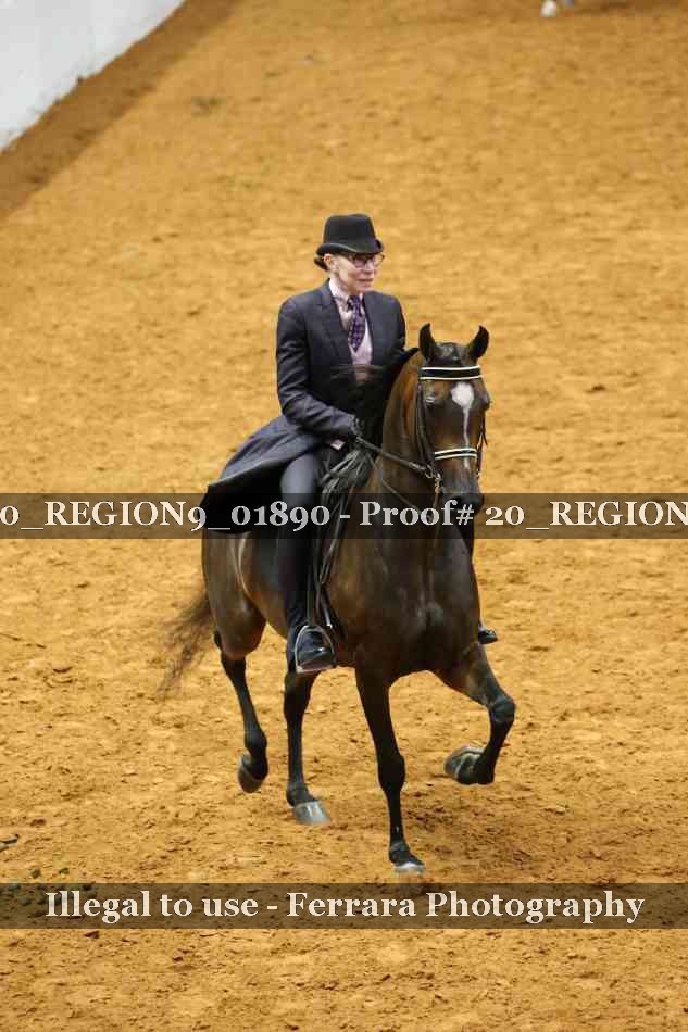 Proof Number 20_REGION9_01890