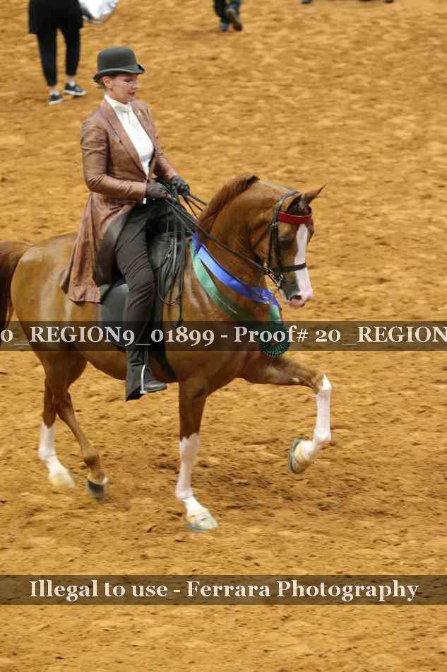 Proof Number 20_REGION9_01899