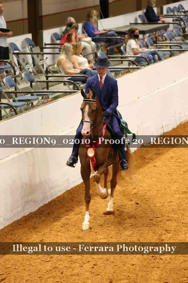 Proof Number 20_REGION9_02010