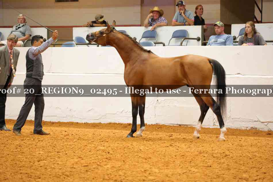 Proof Number 20_REGION9_02495