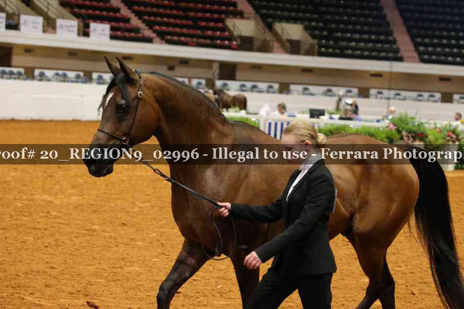 Proof Number 20_REGION9_02996