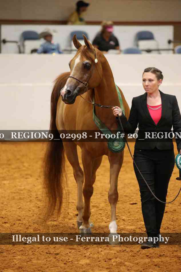 Proof Number 20_REGION9_02998