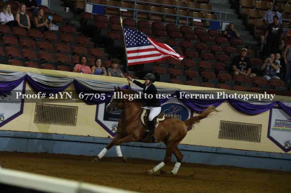 Proof Number 21YN_67705