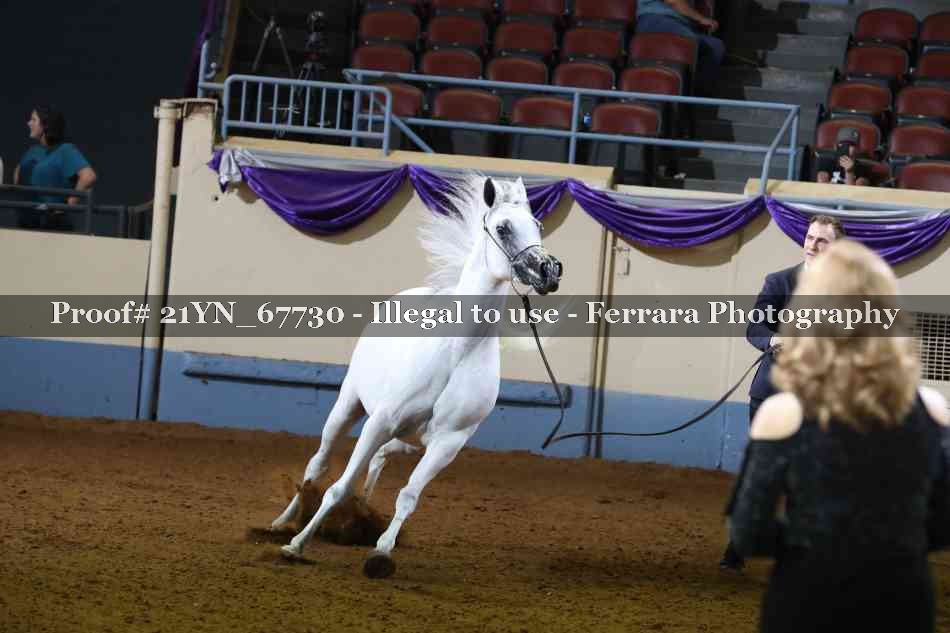 Proof Number 21YN_67730