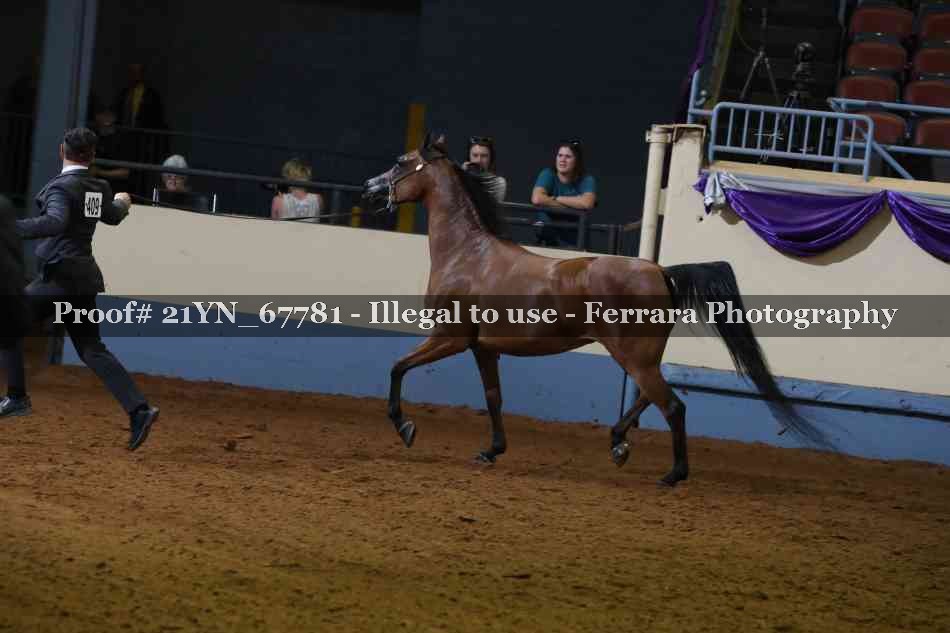 Proof Number 21YN_67781
