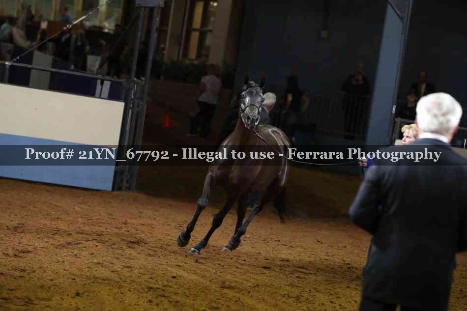 Proof Number 21YN_67792