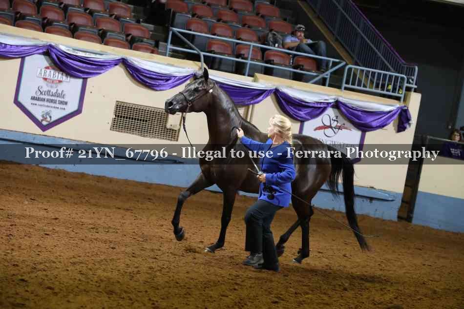 Proof Number 21YN_67796