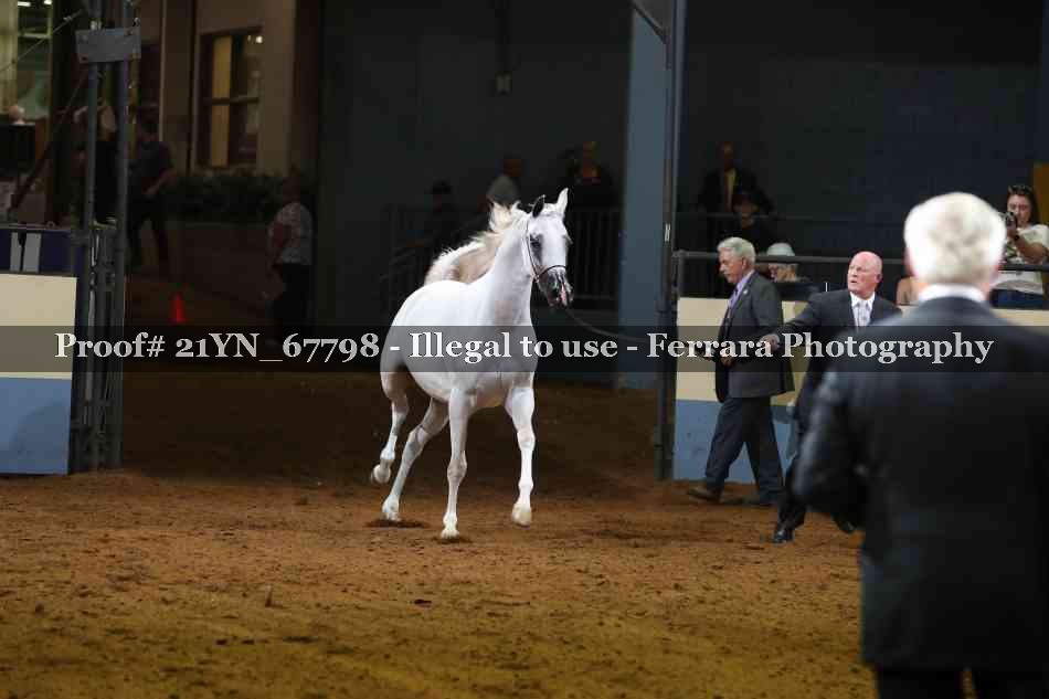 Proof Number 21YN_67798