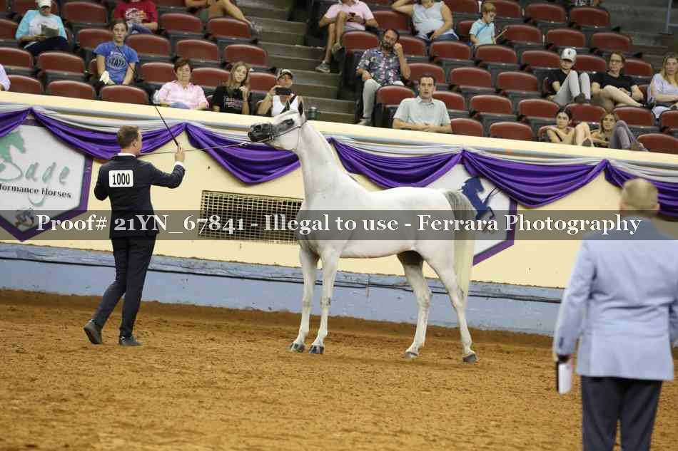 Proof Number 21YN_67841