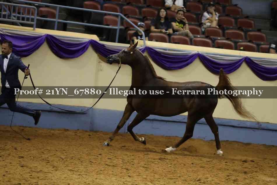 Proof Number 21YN_67880