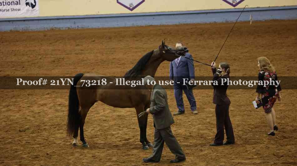 Proof Number 21YN_73218