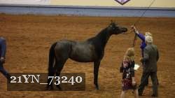 21YN_73240 thumbnail