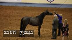 21YN_73241 thumbnail