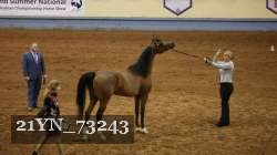 21YN_73243 thumbnail