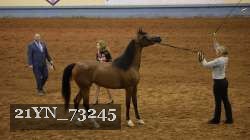 21YN_73245 thumbnail