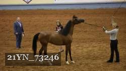 21YN_73246 thumbnail