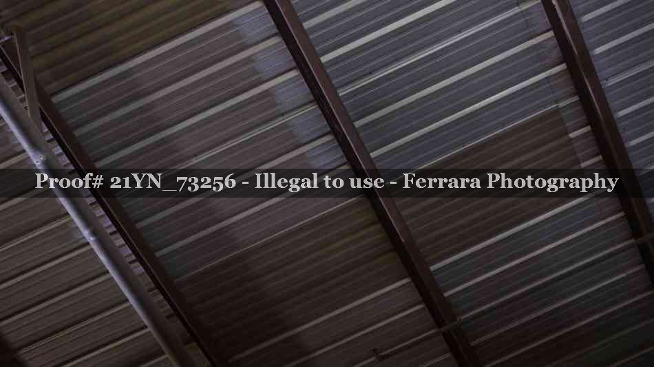 Proof Number 21YN_73256