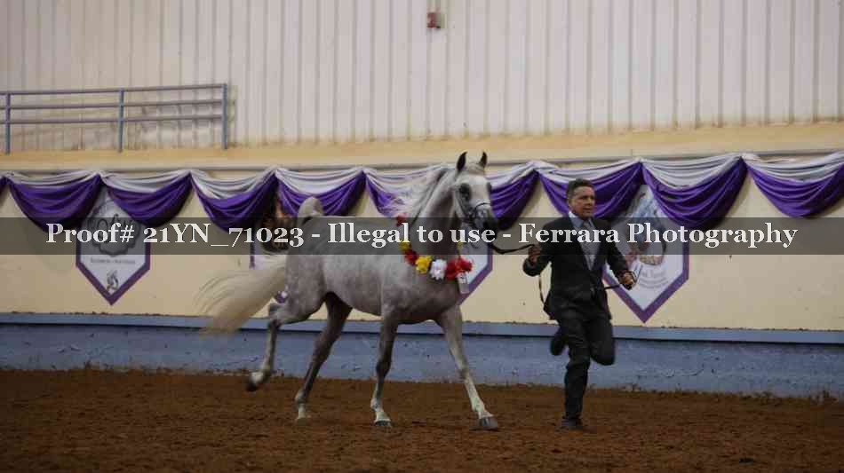 Proof Number 21YN_71023