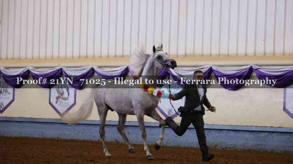 Proof Number 21YN_71025