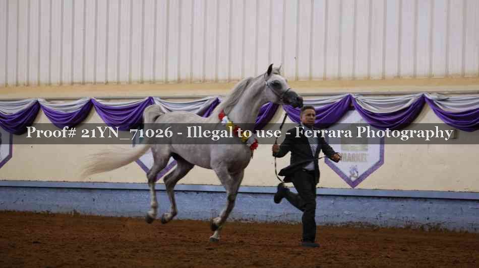 Proof Number 21YN_71026