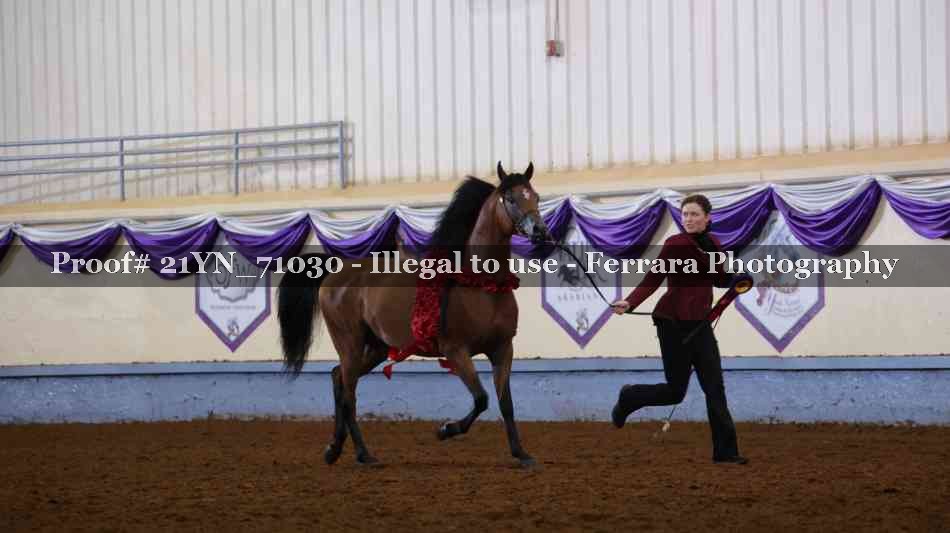 Proof Number 21YN_71030
