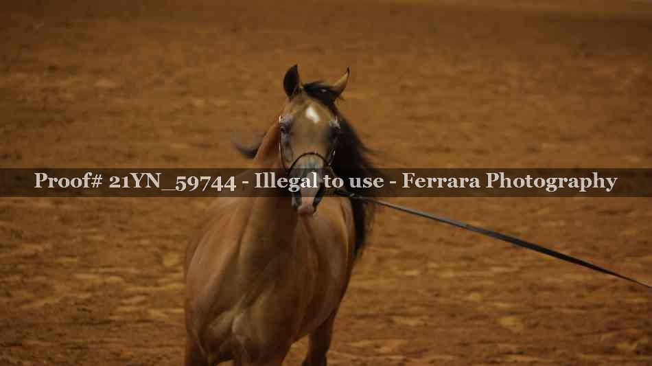 Proof Number 21YN_59744