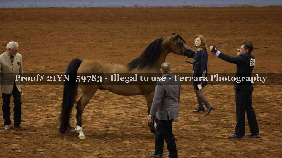Proof Number 21YN_59783