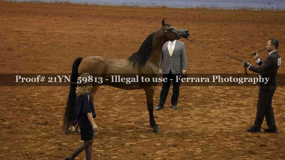 Proof Number 21YN_59813