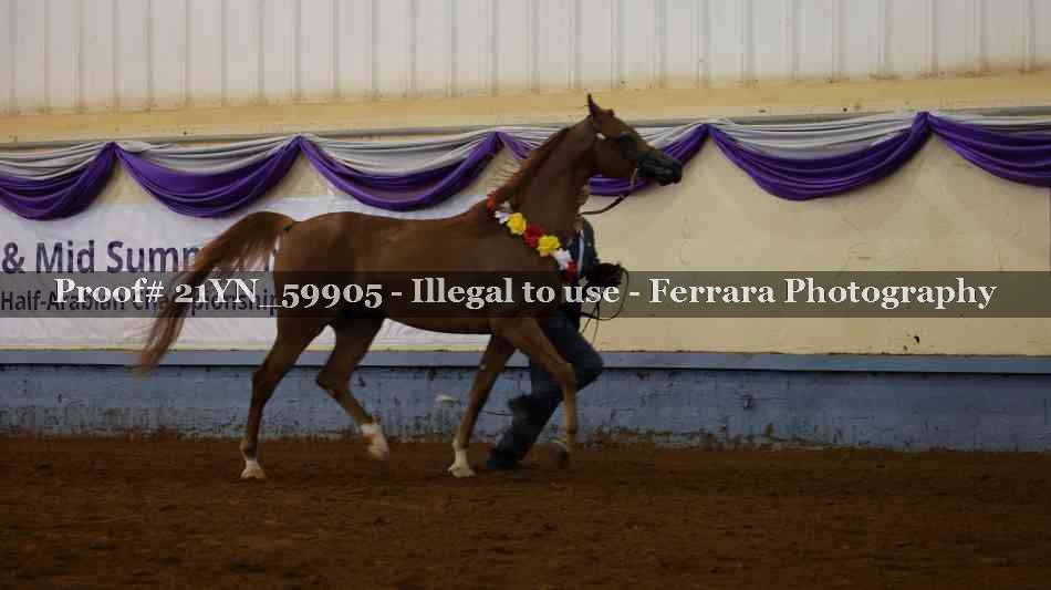 Proof Number 21YN_59905