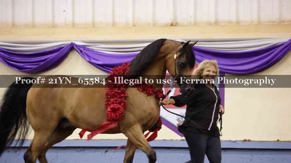 Proof Number 21YN_65584