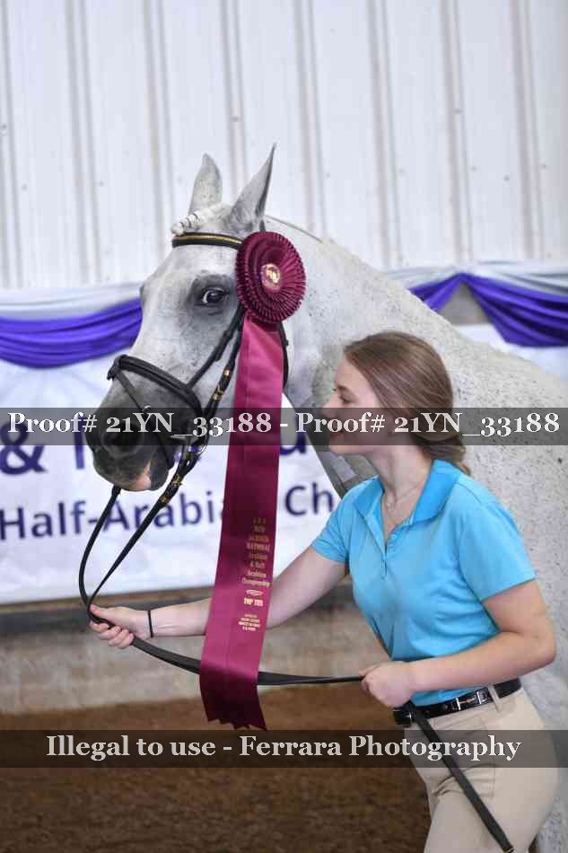 Proof Number 21YN_33188