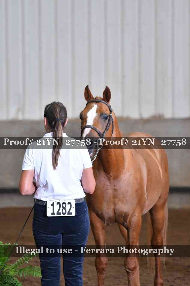 Proof Number 21YN_27758