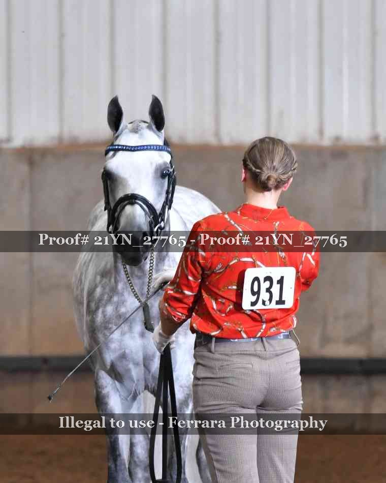 Proof Number 21YN_27765