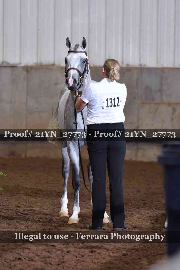 Proof Number 21YN_27773