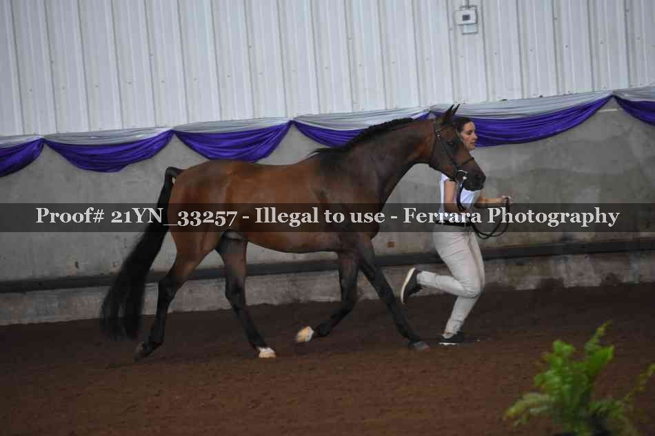 Proof Number 21YN_33257