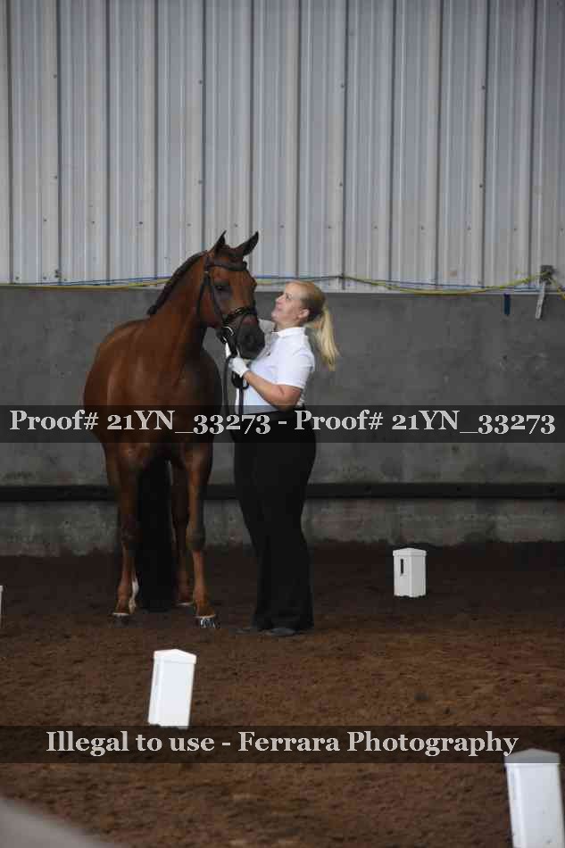 Proof Number 21YN_33273