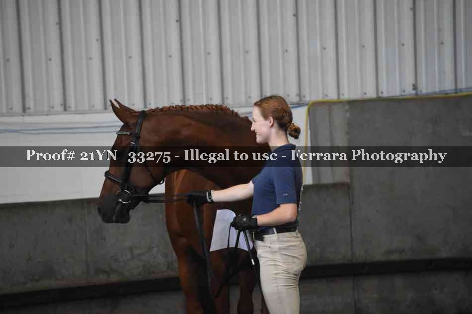 Proof Number 21YN_33275