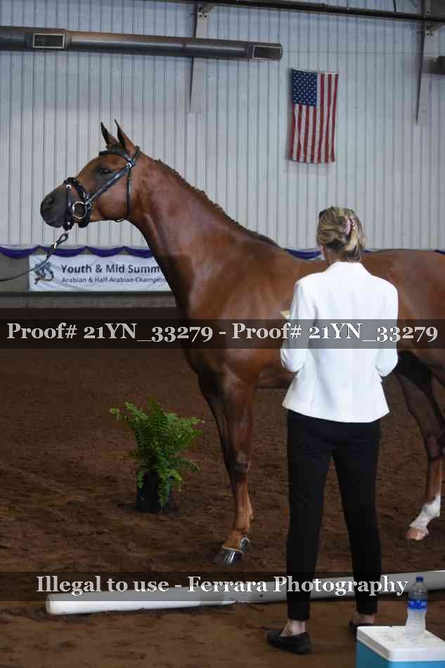 Proof Number 21YN_33279