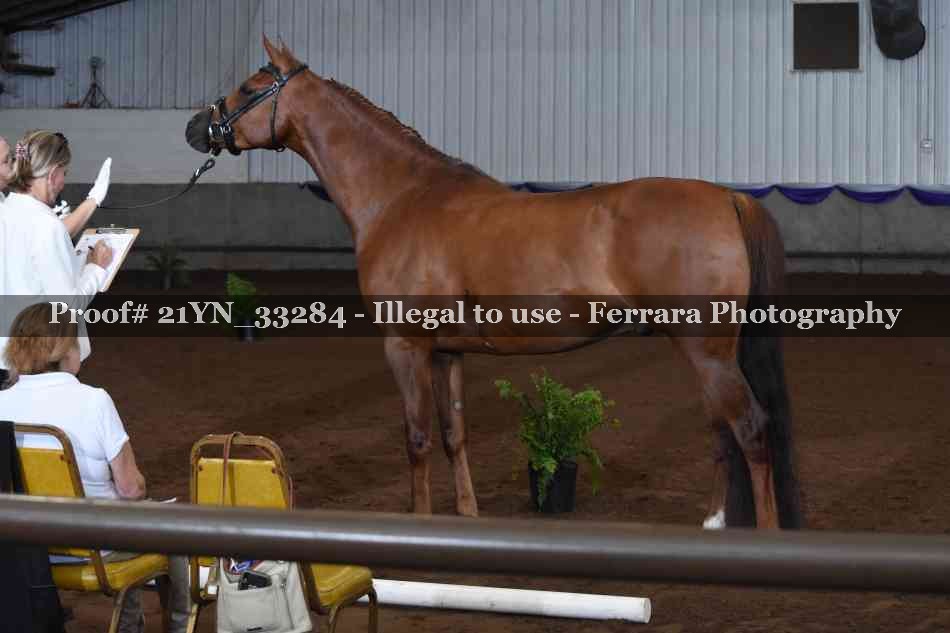 Proof Number 21YN_33284