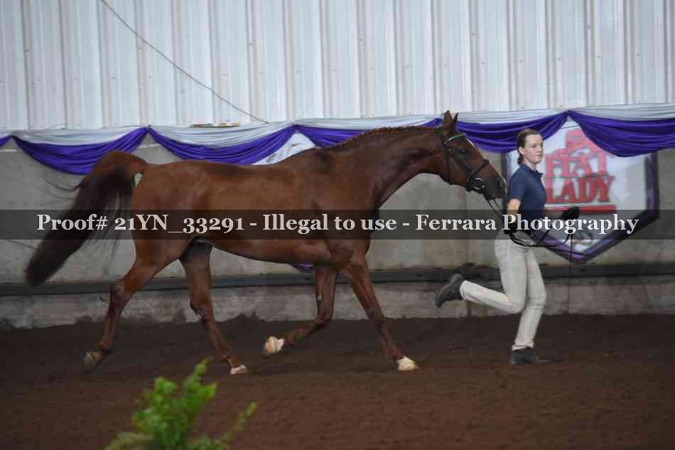 Proof Number 21YN_33291