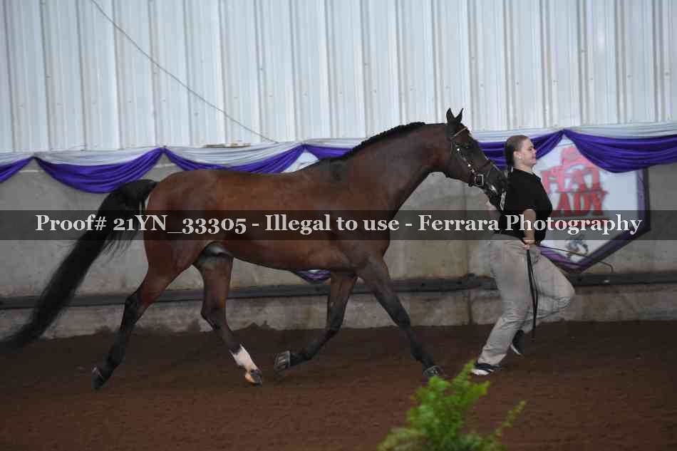 Proof Number 21YN_33305