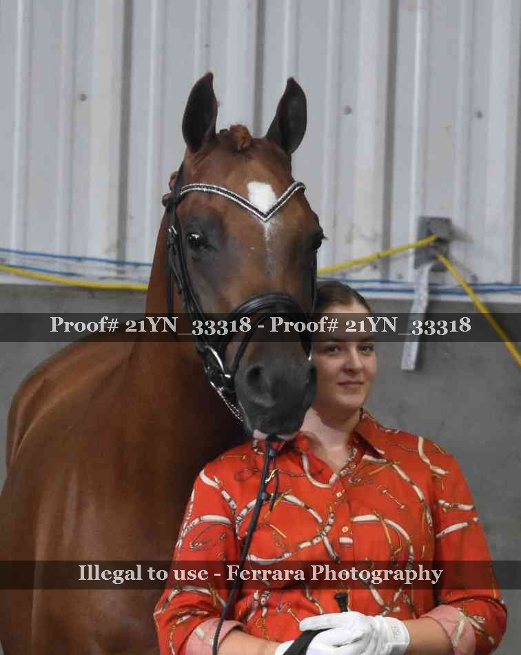 Proof Number 21YN_33318