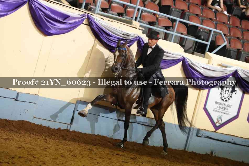 Proof Number 21YN_60623