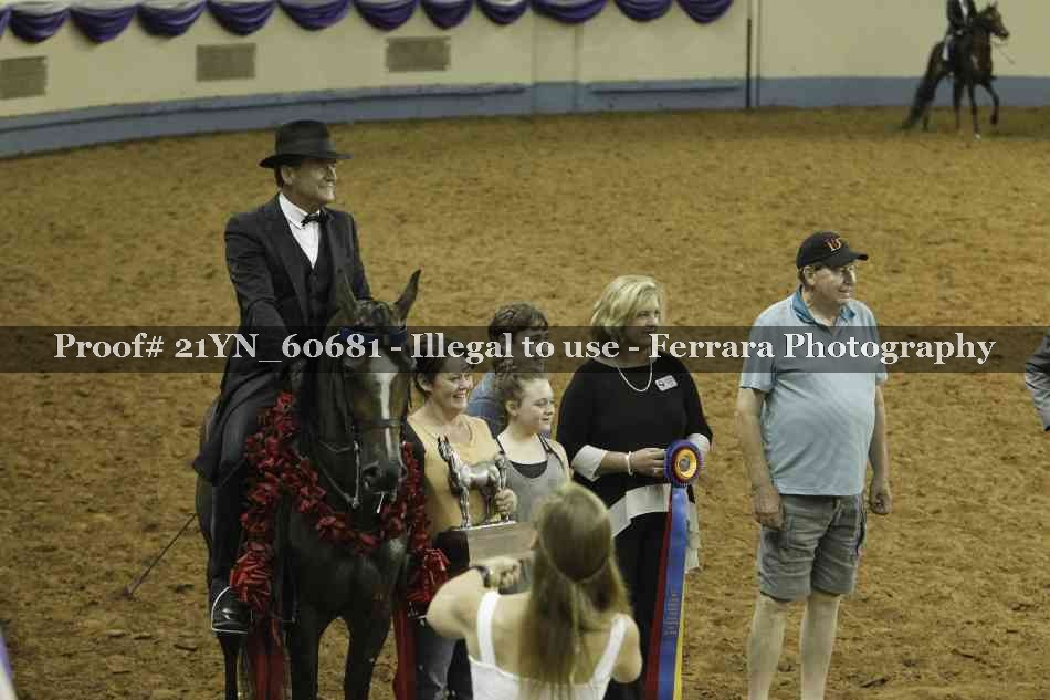 Proof Number 21YN_60681
