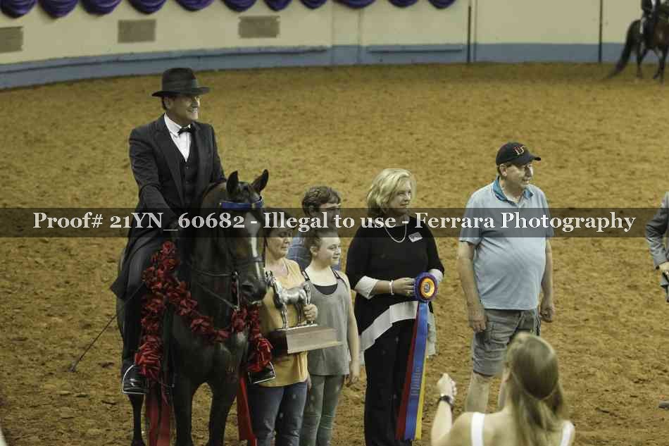 Proof Number 21YN_60682