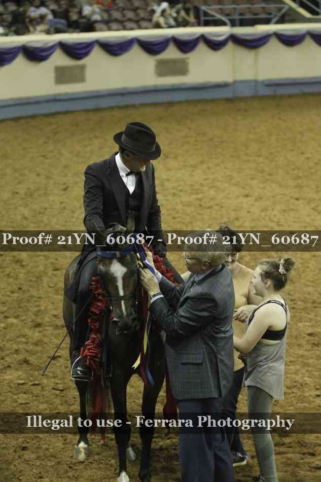 Proof Number 21YN_60687